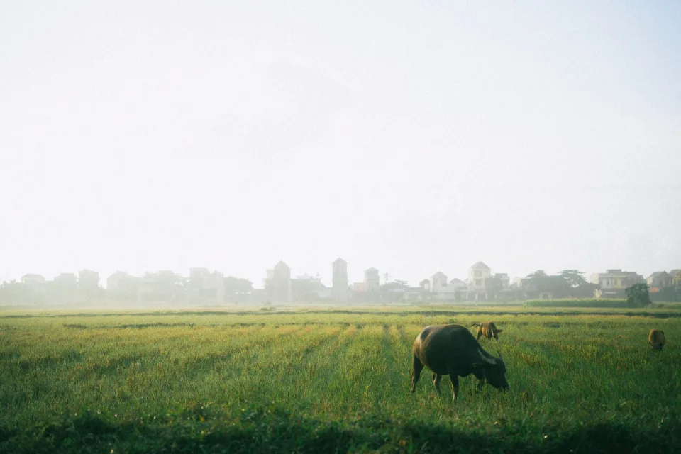Kho gạo của Phan Thị Thu Hồng
